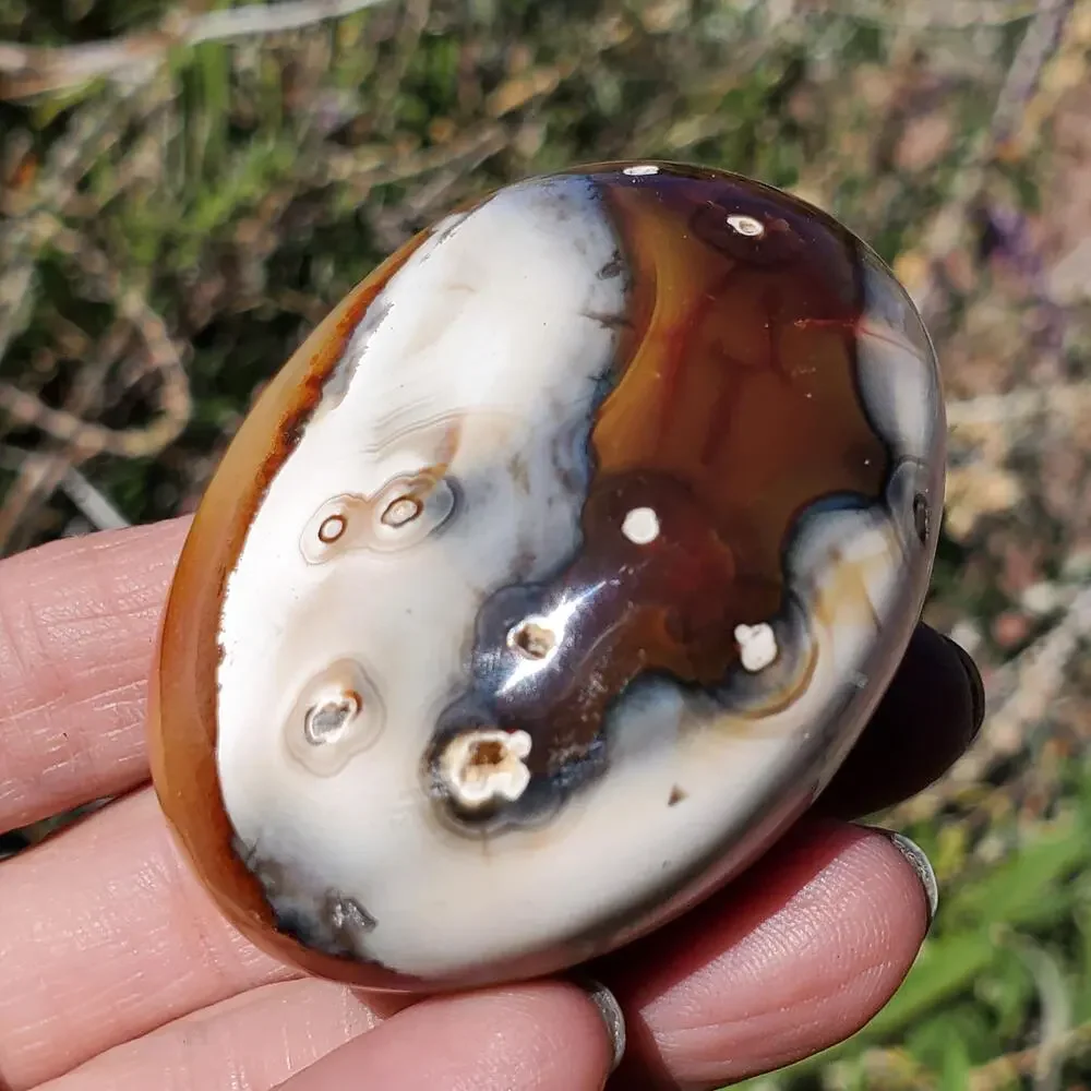 Eyes on Back Orca Agate Carnelian Stone Crystal UNIQUE Palmstone 180 grams